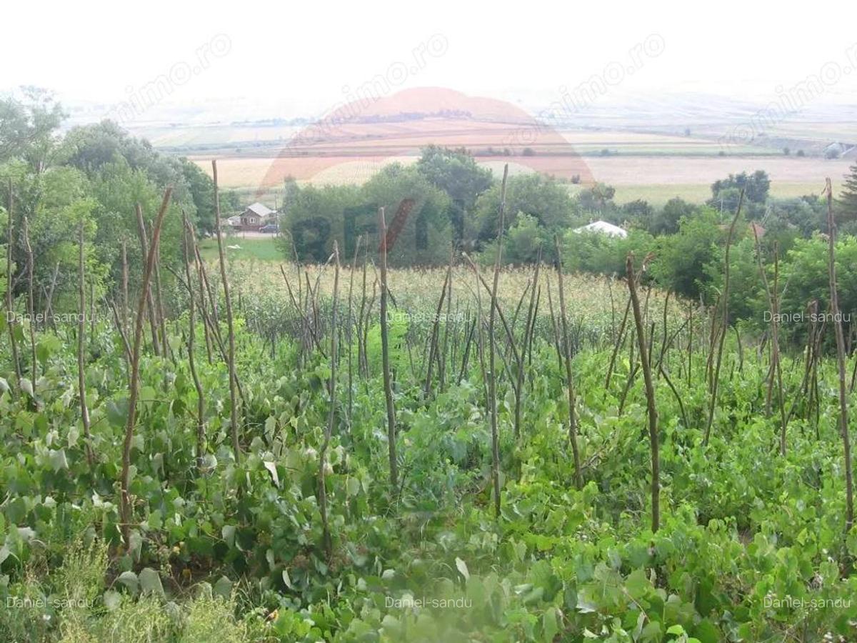 Teren 6,890mp Crasna / Strada Crasna - 4