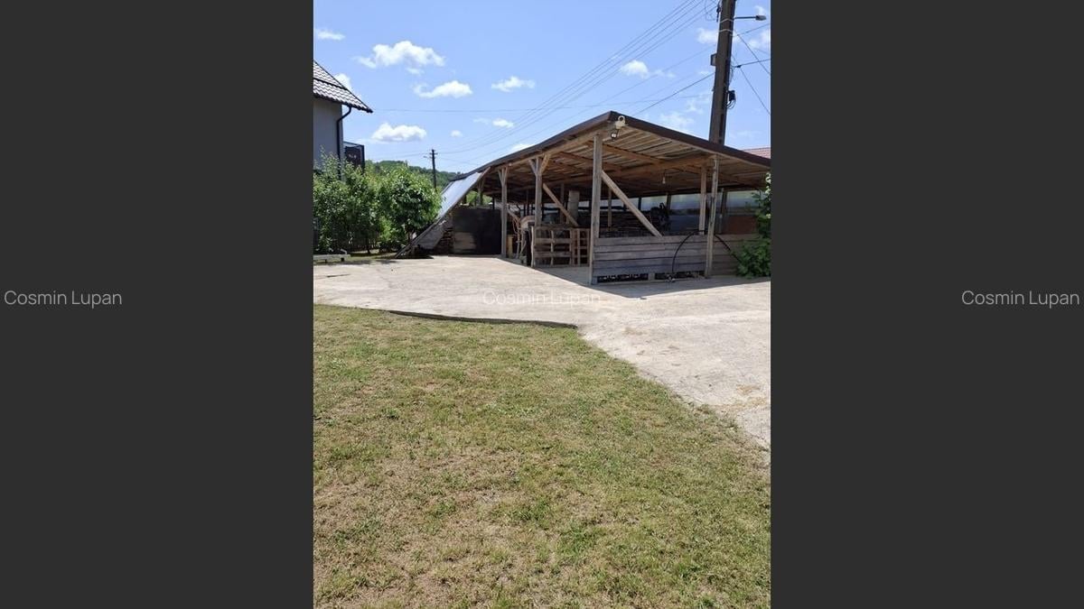 Casă Noua Drăjna de Jos: 78 mp, 2 camere, 53.000 EUR - 24