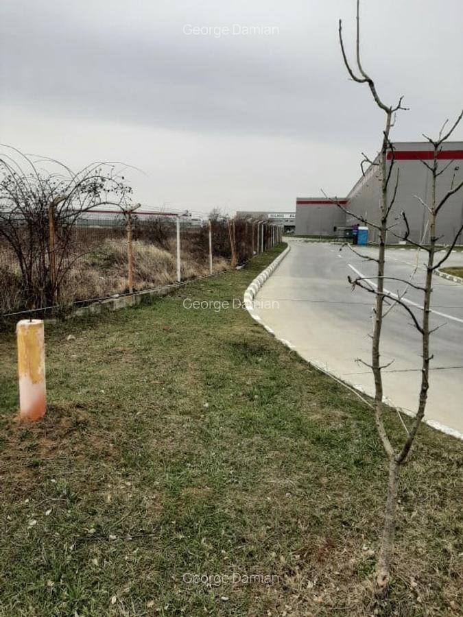 Teren, zona industriala, in Domnesti. Tarlaua 7, depozitele Logistics Park, A1 - 8