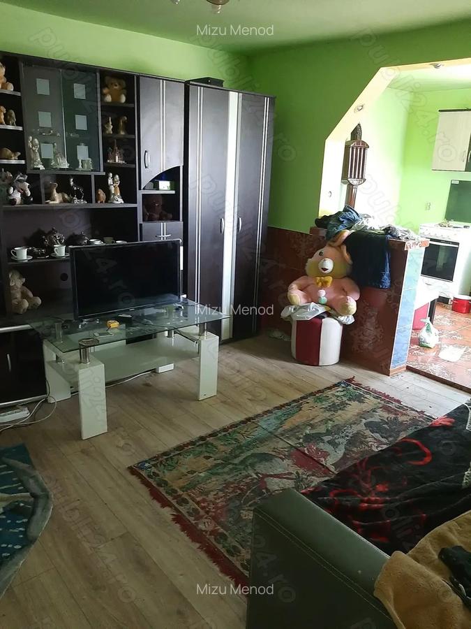 Casa Supur de Sus Satu Mare - 2