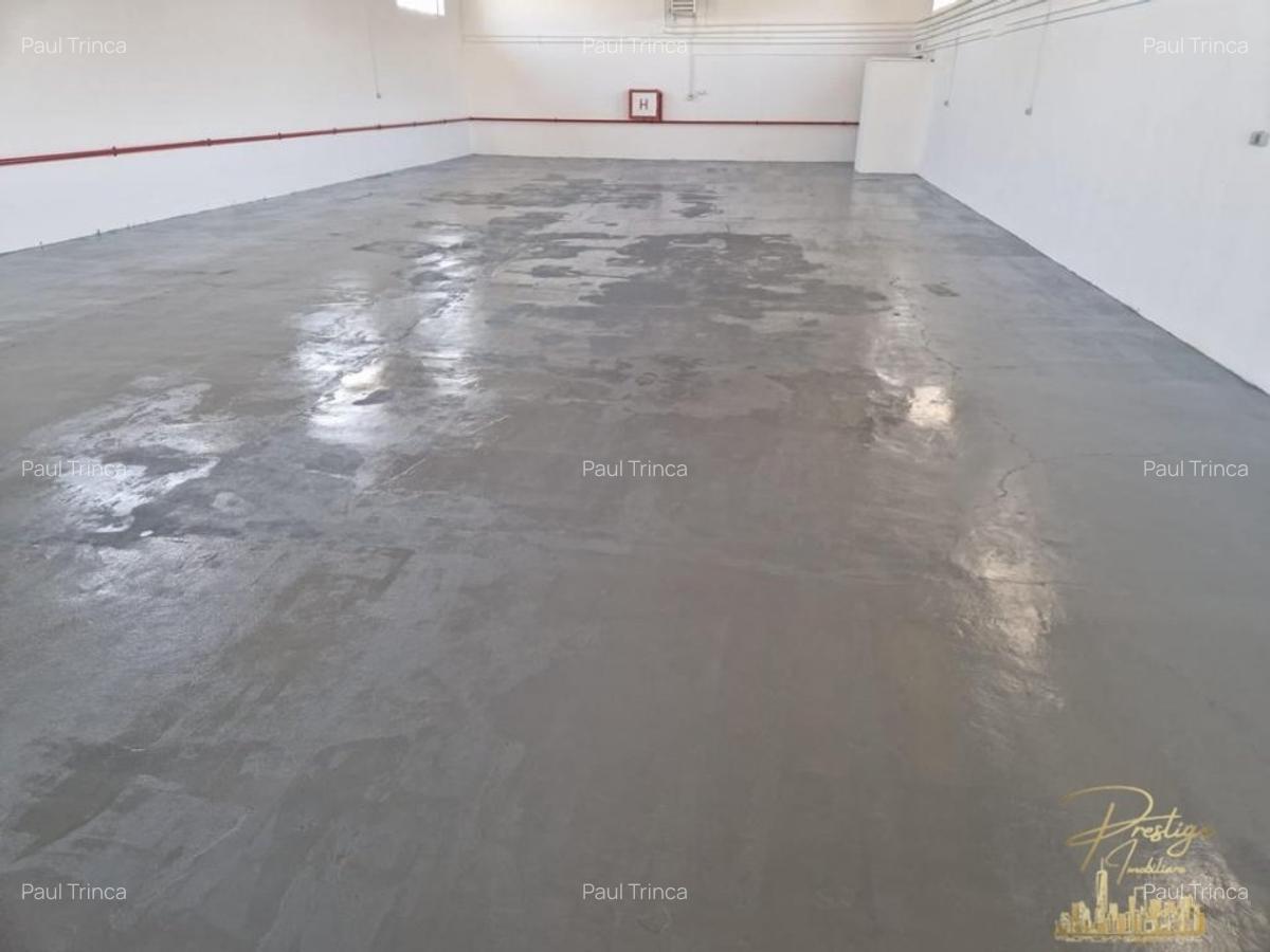 Proprietate industriala renovata | 2 hale de vanzare in zona Seleus - 5