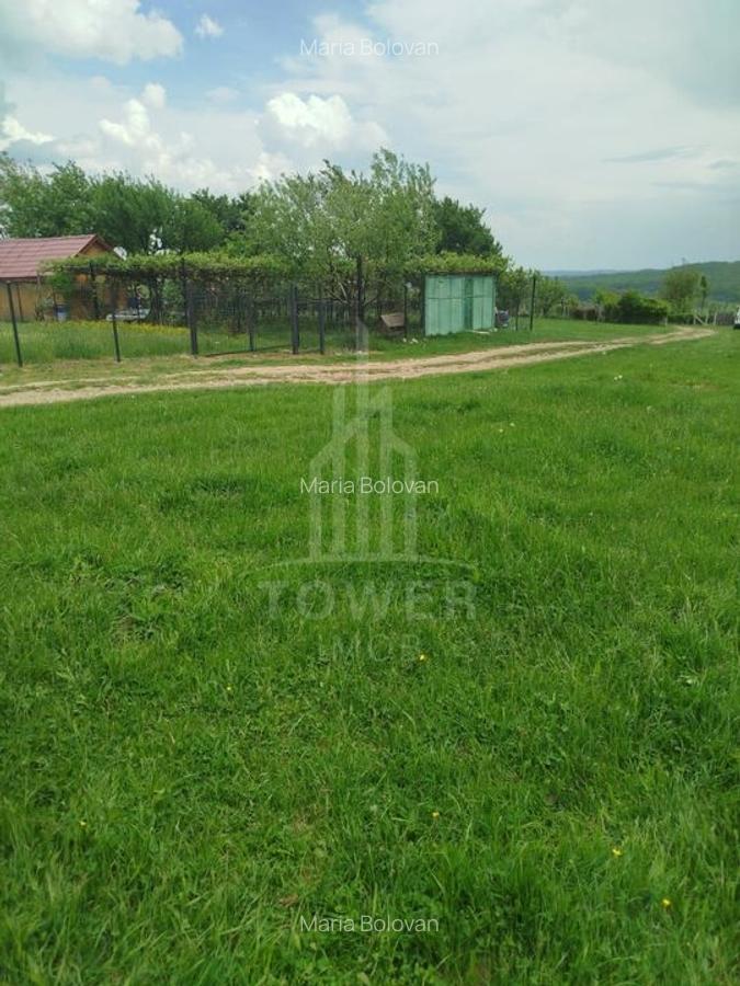 Teren de vinzare in Tropini Vechi - 8