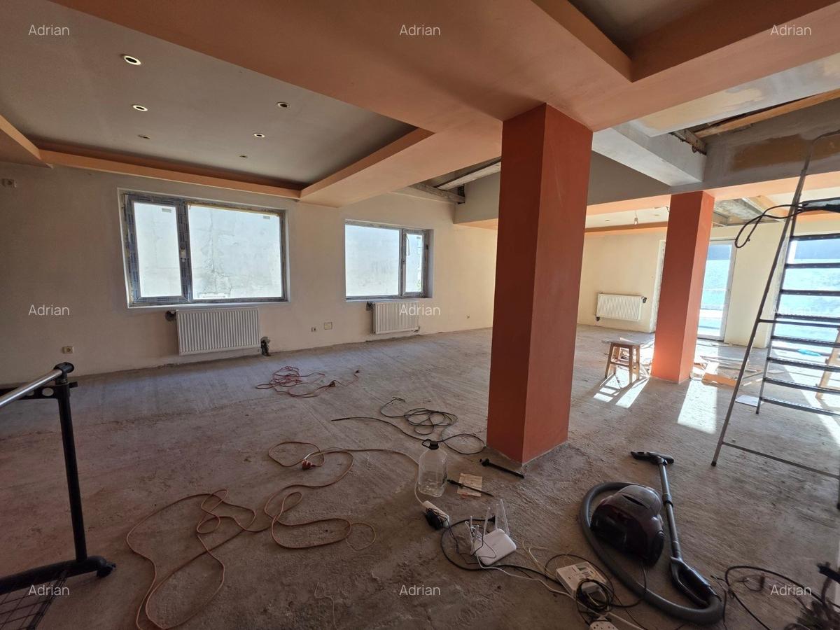 Dristor, Camil Ressu, 15 minute metrou, pe strada Ilioara - 15