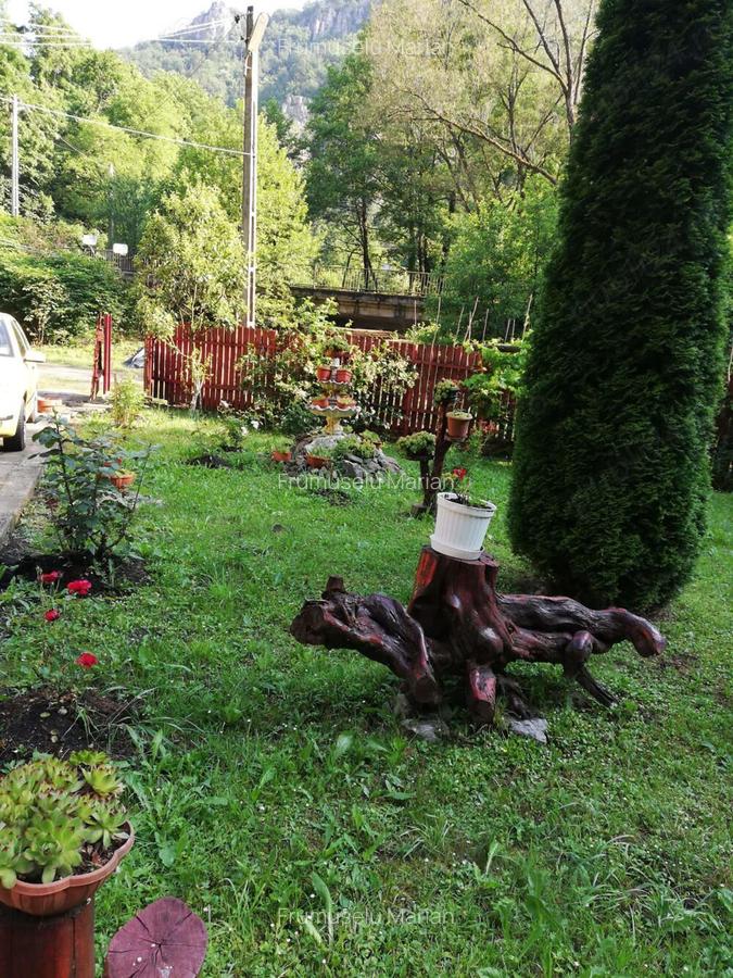 Vand casa de vacanta! - 2