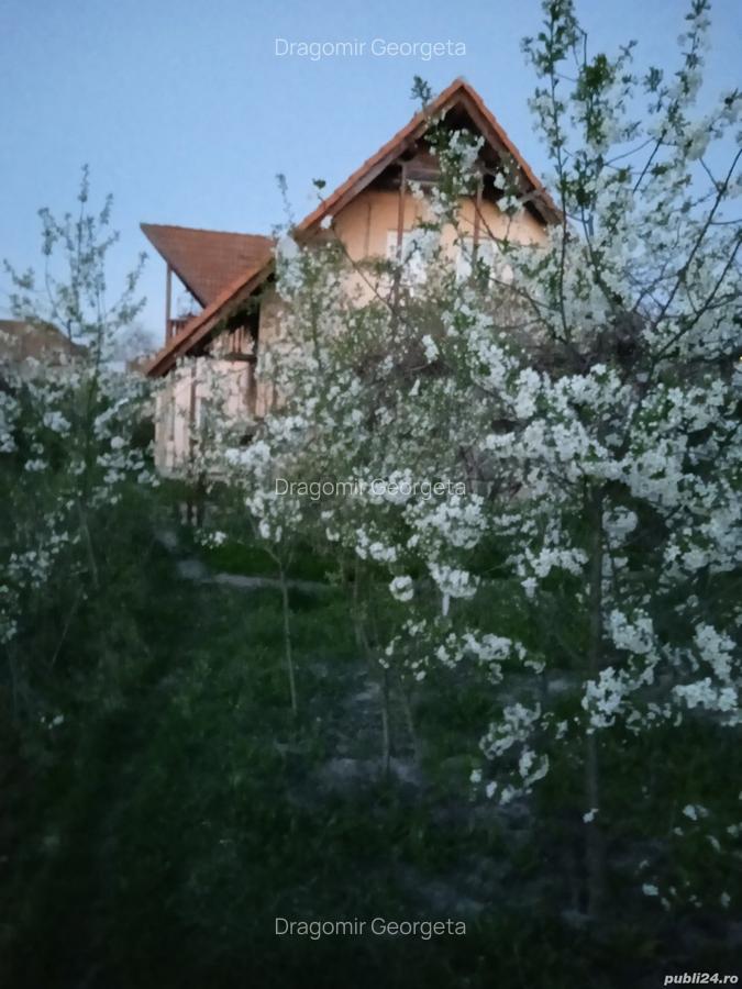 Vanzare casa - 3
