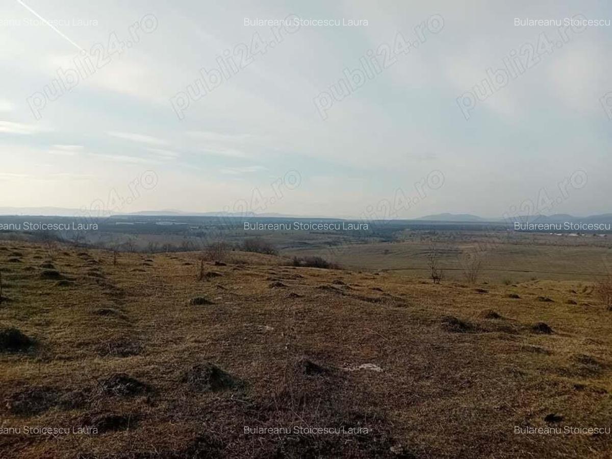 Teren - 7.132 mp zona deosebita , str Alexandru cel Bun - 5 Teren - 7.132 mp zona deosebita , str Alexandru cel Bun - 5