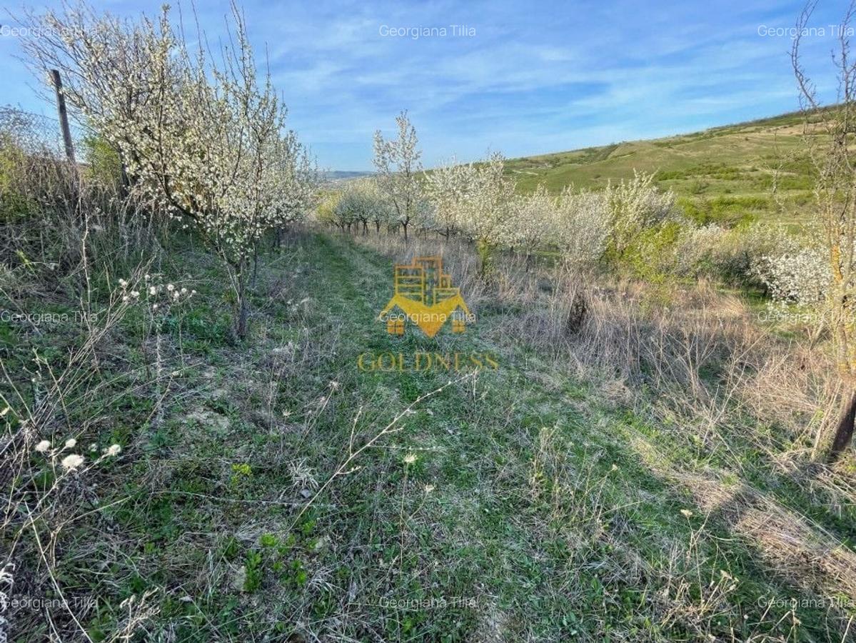 Teren agricol intravilan de 5500 mp, în Sopor - 5
