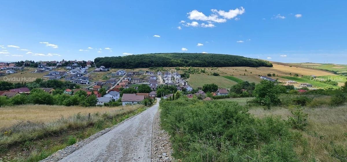 Teren 1 598 Mp De Vanzare, Panorama Superbă, Str Livezi, Sancrai - 1