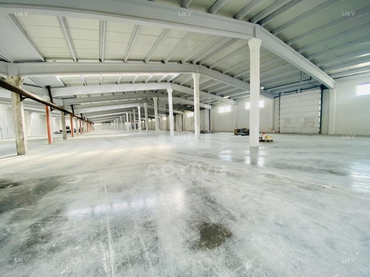 Spațiu industrial, 1000 mp în Iris - 1