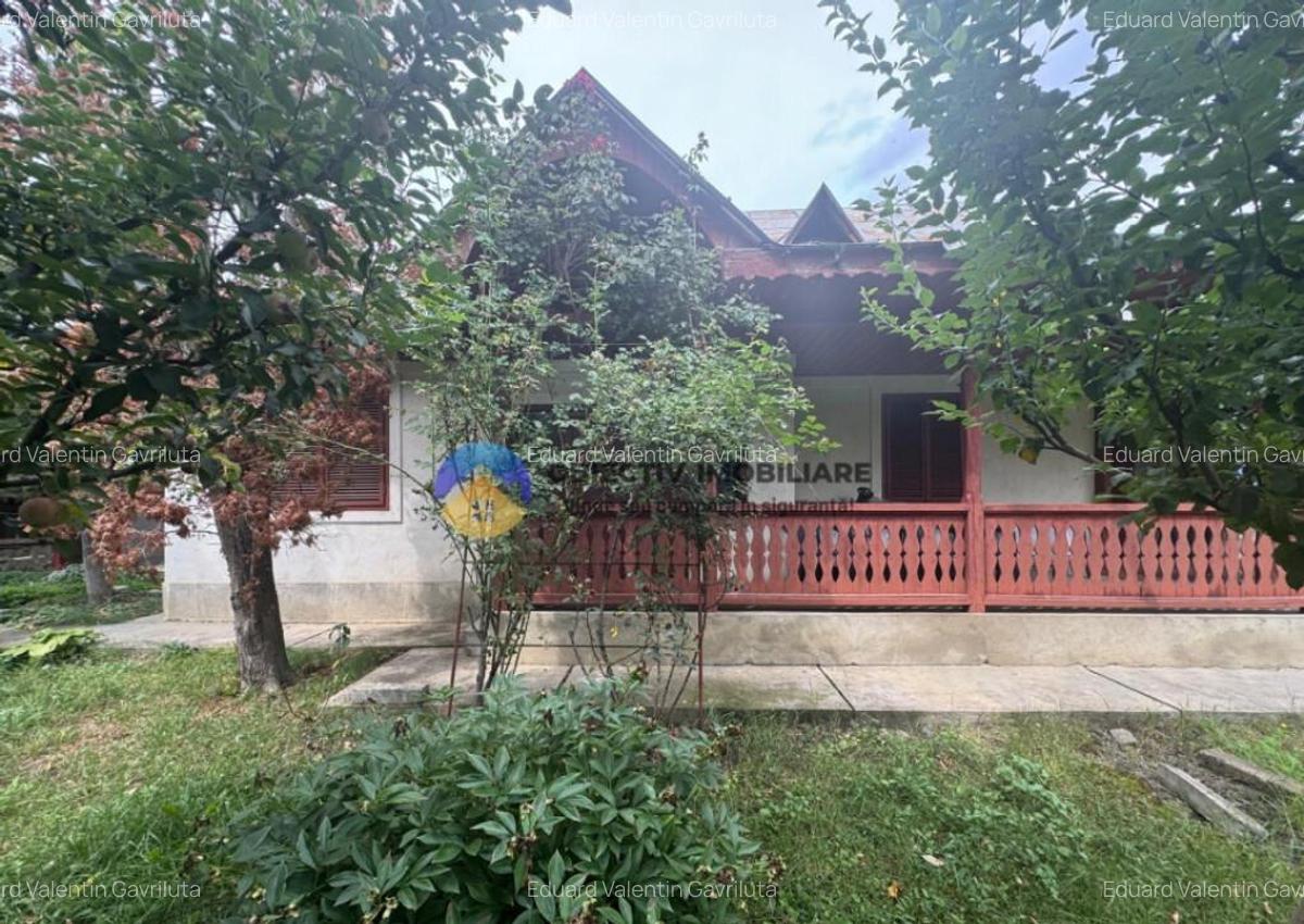 Casa tradi?ionala de vanzare in comuna Podoleni, jud. - 20