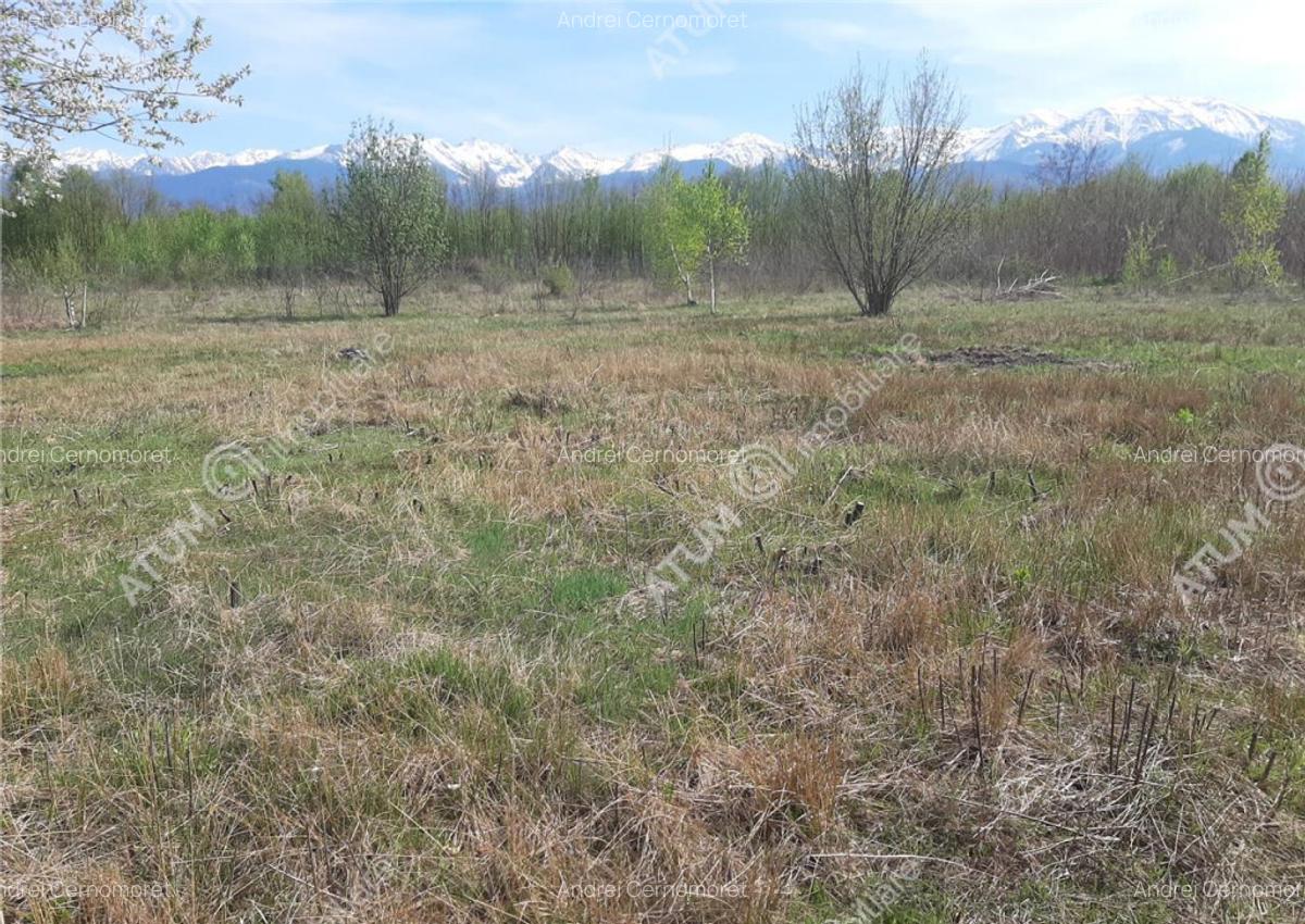 Teren intravilan 2700 mp pe Valea Avrigului localitate Avrig - 1