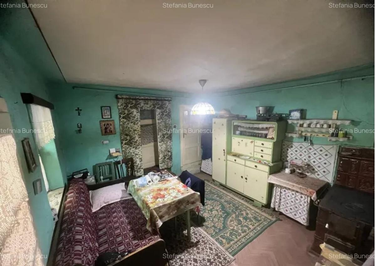 Casa individuala de vanzare | 100 mp utili | teren 2300 mp - sat Rusi - 5