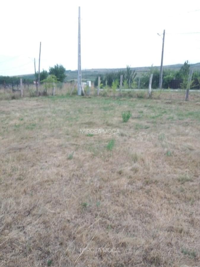 Teren intravilan Luna de Jos 9800 mp front la DJ 52,2 m - 1