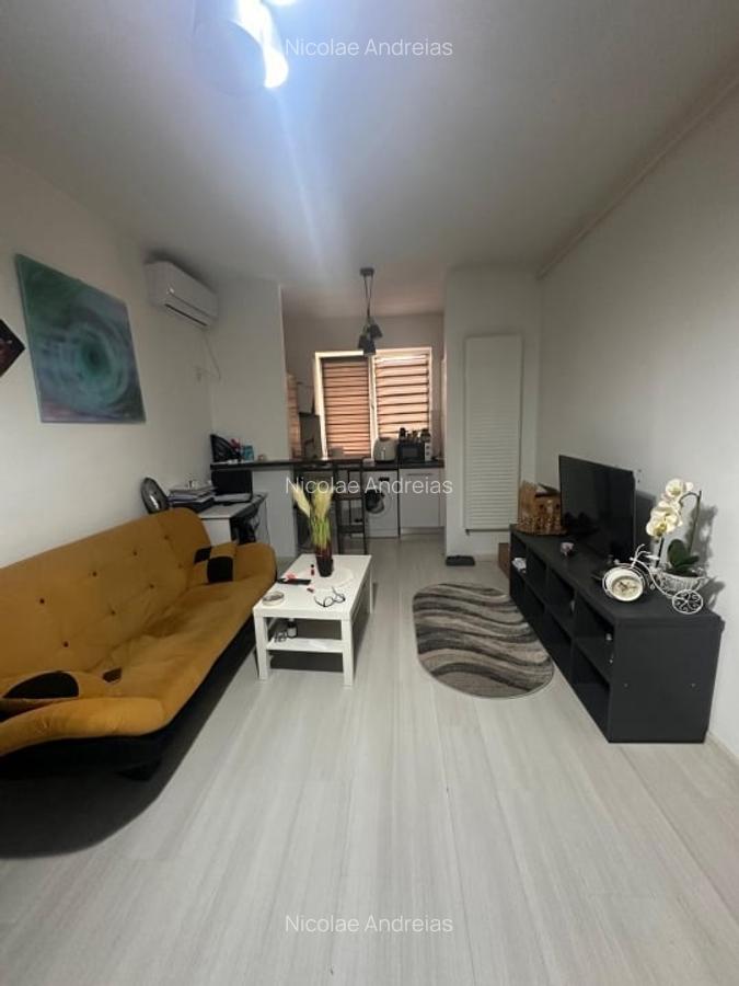 Popesti Leordeni-Amurgului-Dimitrie Leonida - 3