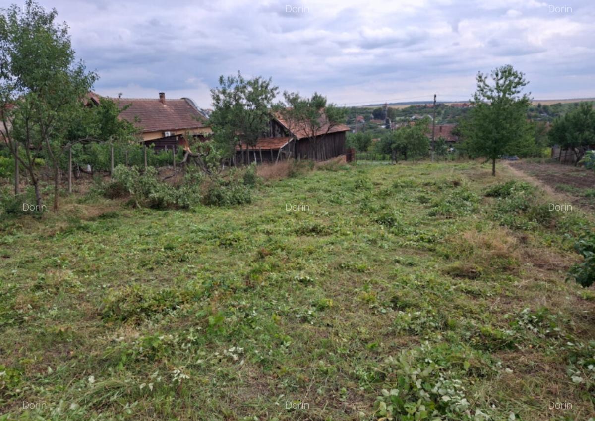 Teren cur?i-constructii, central, in Silagiu-Buzias 900mp - 2