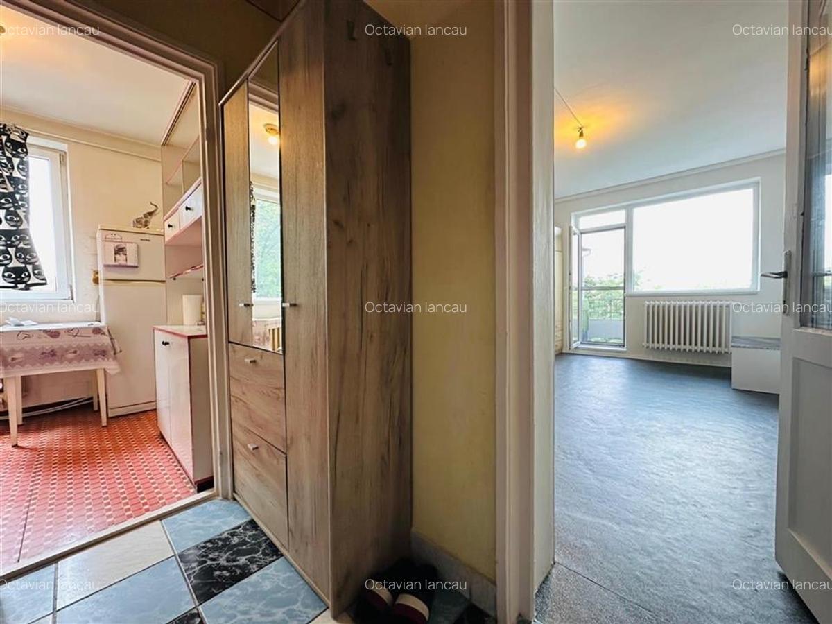 APARTAMENT 2 CAMERE, DECOMANDAT, ZONA ROGERIUS, STRADA TRANSILVANIEI - 6