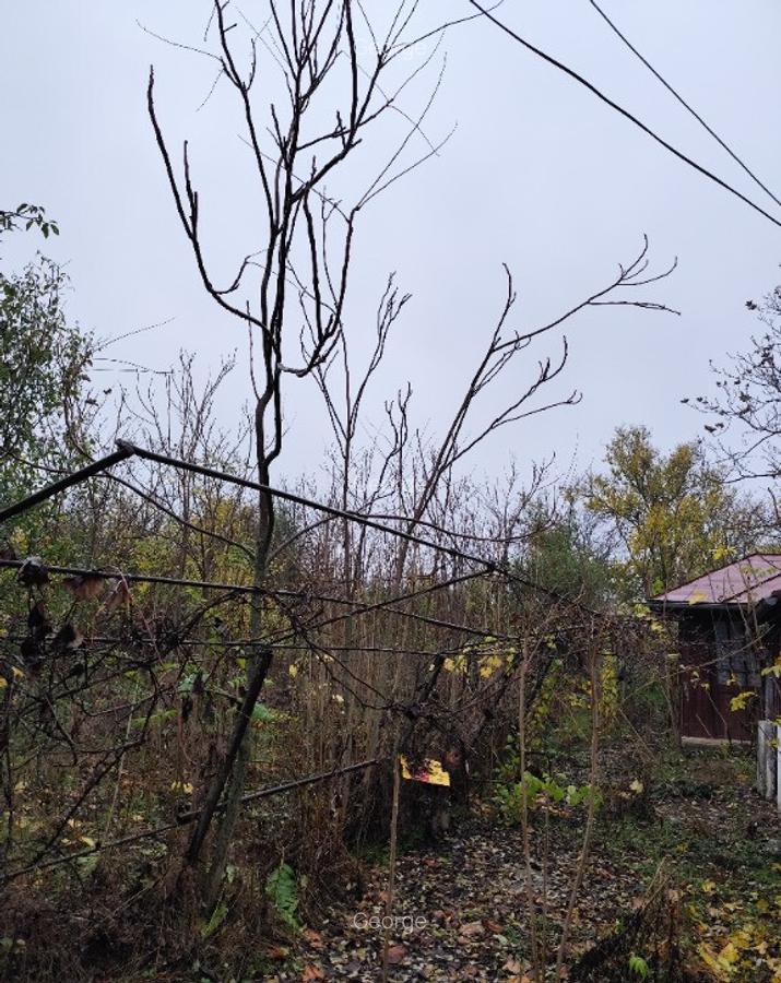 Casa batraneasca plus teren 1600mp Toporu jud. Giurgiu - 6