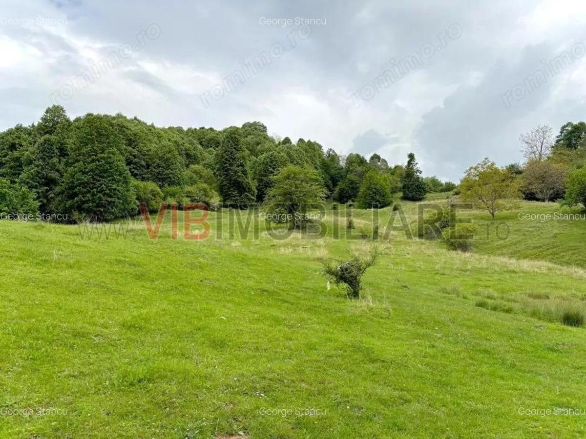 Teren de poveste in inima Brezei, zona Nistoresti - 5