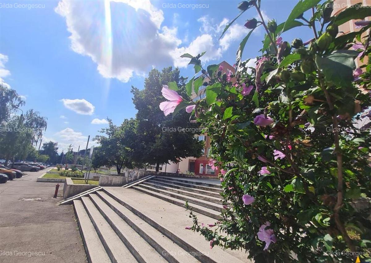 Apartament decomandat, suprafata generoasa, cu boxa si loc d - 2