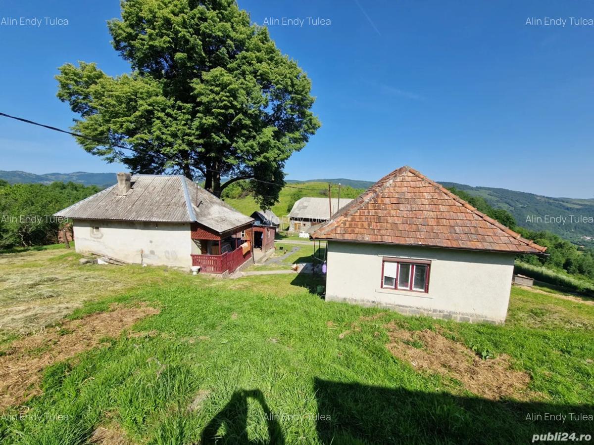 Casa de vanzare in Tranisu ( Valea Draganului ) - 10