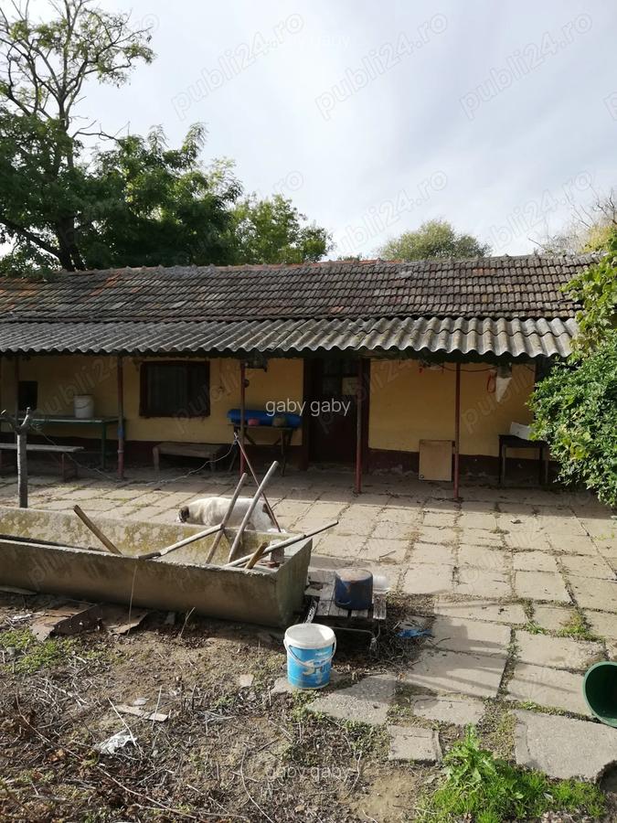 Vand casa batraneasca - 2