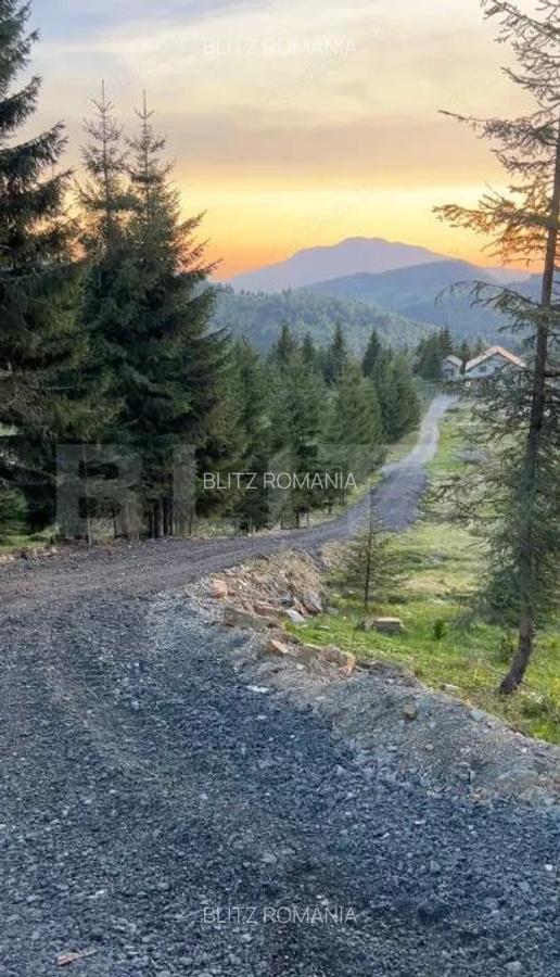 Teren extravilan cu priveliste - Tihuta Cota 1.201 - 3