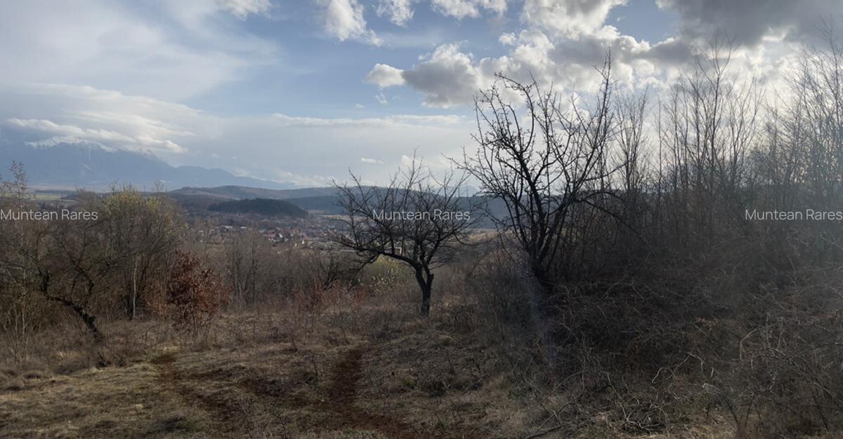 Teren intravilan 3400mp - 7