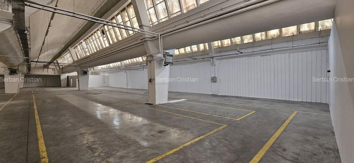 Pantelimon hala productie depozitare - 46