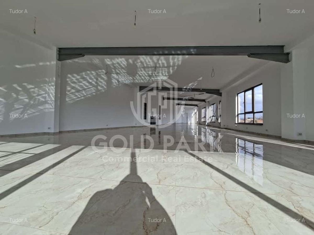 SHOWROOM - Expunere si Vitrina Mare  la Bulevard -Principal- Parcari - 9