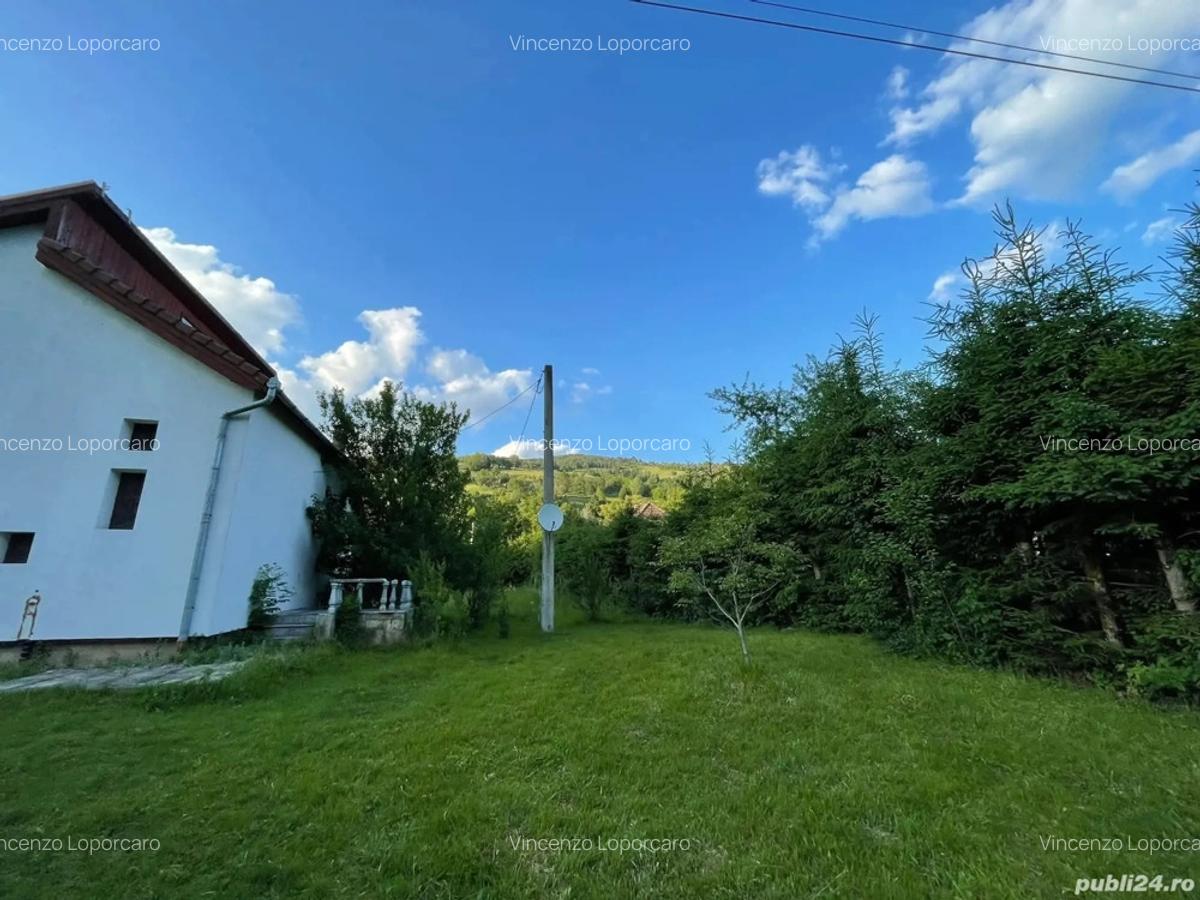Vand casa jud.alba - 4