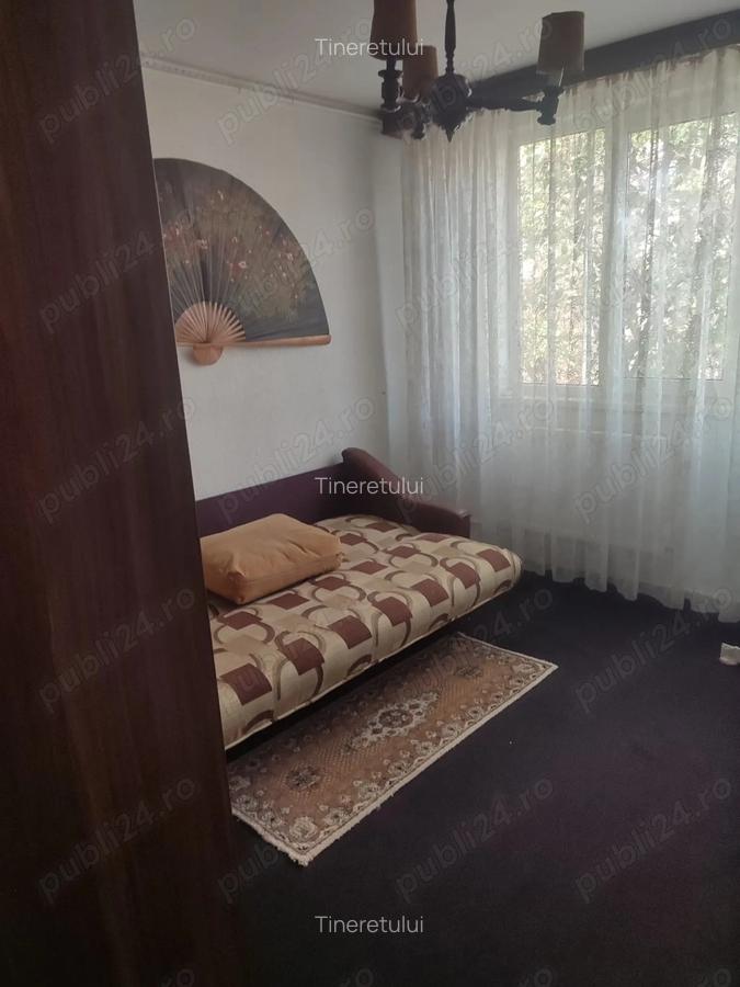 Drumul Taberei-Parcul Moghioros camera bloc fara proprietar pt.o pers.700 de lei lunar - 1