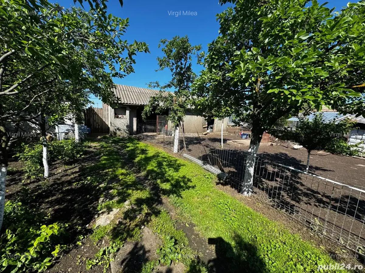 Casa de vanzare - 5