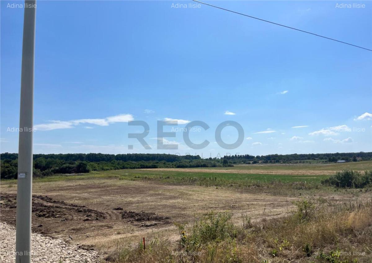 RECO Teren intravilan pentru casa- Les cu PUZ aprobat - 3