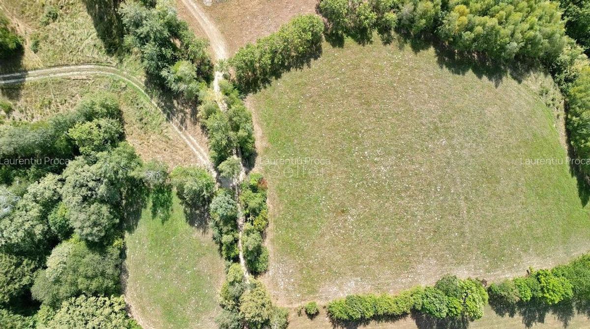 Teren intravilan, priveliste deosebita - 14