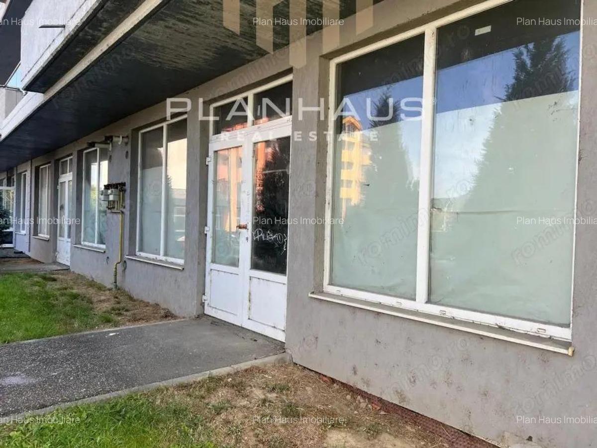 Spatiu comercial V.Alecsandri ,120 mp ,ideal activitati comerciale /cabinete - 4