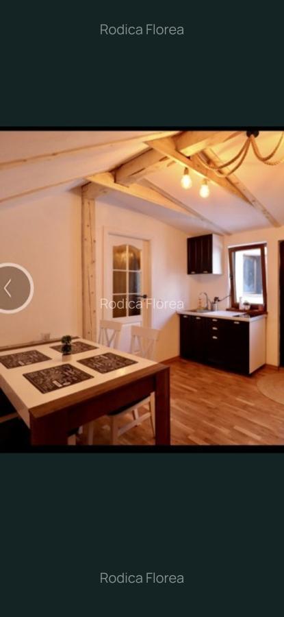 Apartament 2 camere modern-lux- Centrul Vechi Pet Friendly - 5