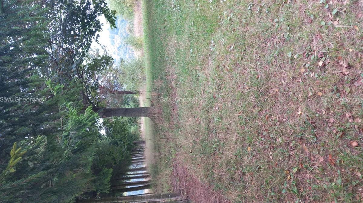 Vind construc?ie noua, 19 garsoniere,camere pentru inchiriat. - 8