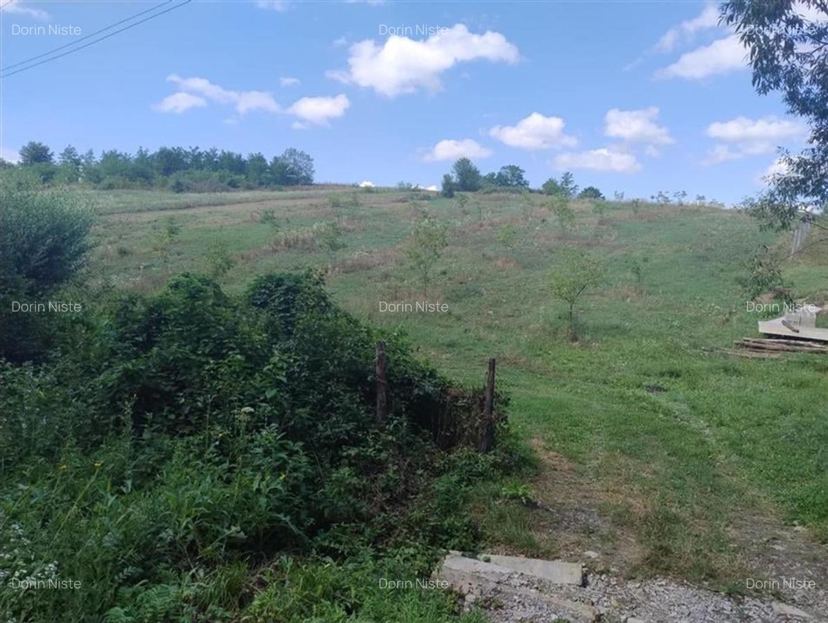 RECO Teren intravilan, Topesti - 3