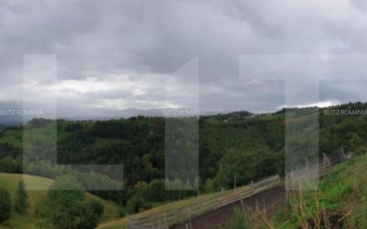 Teren 13.570 mp, Moieciu Pestera - 6