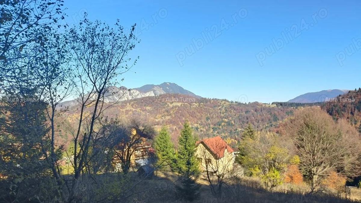 Teren intravilan -Predeal-Paraul Rece - 5