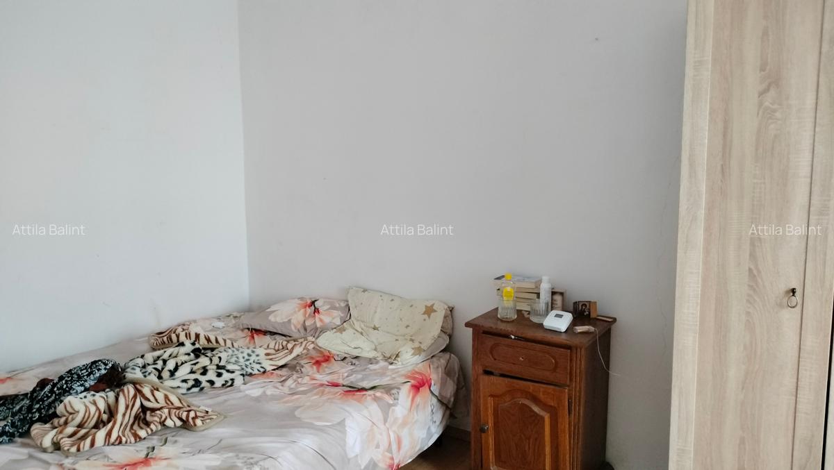 Cetatii 3 camere 85000 euro - 10