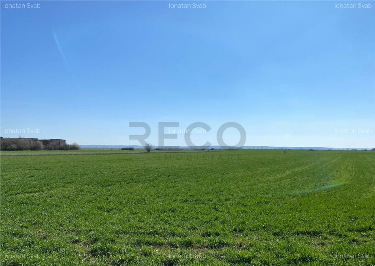 RECO Casa in Tamaseu 18km de Oradea - 11