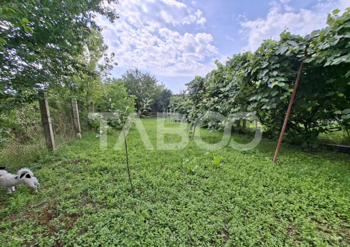 Casa individuala de vanzare - Gh. Asachi 531 teren acces aut - 14