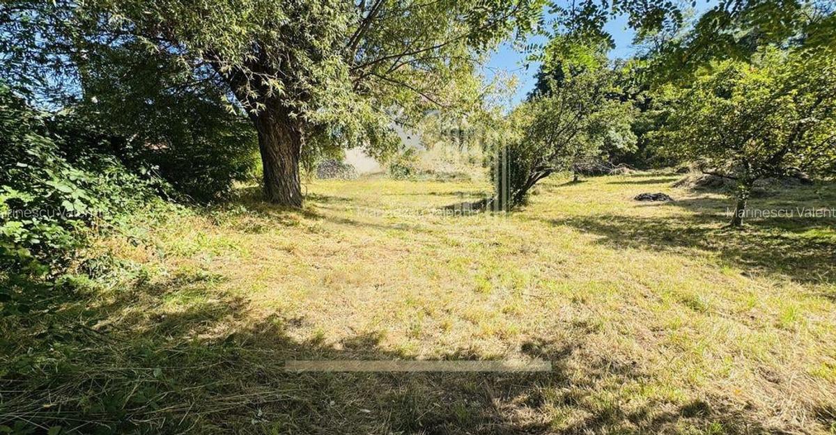 TEREN INTRAVILAN 3234 MP LERE?TI VOINE?TI ARGE? - 10