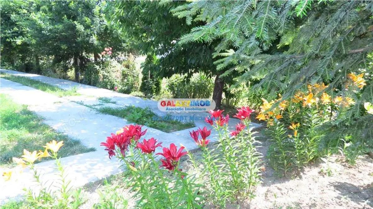 Curtesti, Botosani , Teren generos cu casa si anexa! - 15