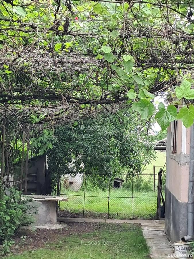 Casa si teren - 3
