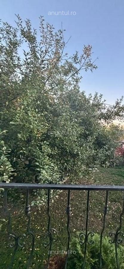 DOBROESTI APROPIERE LAC - 2