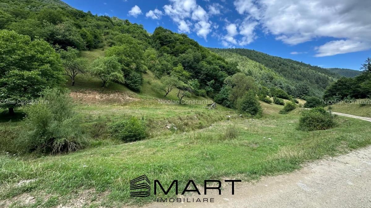 Teren intravilan 8500mp Rasinari - 5