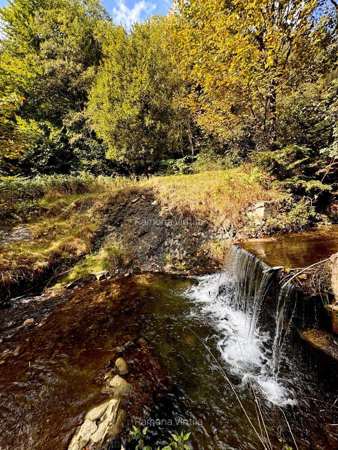 Vila Premium de Vanzare in Cheia, Prahova-Oaza de Relaxare si Investitie - 32