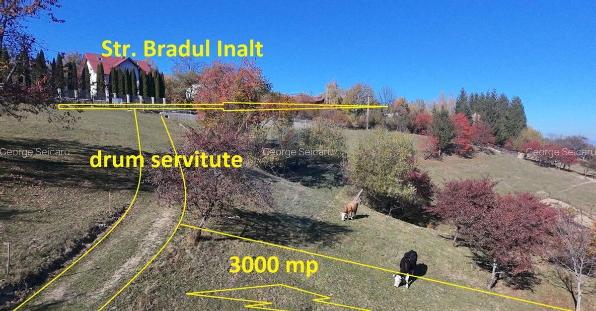 Teren valoros 2,000mp BRAN/Utilitati/Pensiune/Priveliste ... - 9